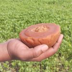 খাঁটি পাটালি খেজুরের গুড় – ৩ কেজি - Image 2